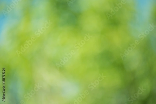 Fototapeta Abstract defocused background, blurred greenery. Blurred bokeh green color.
