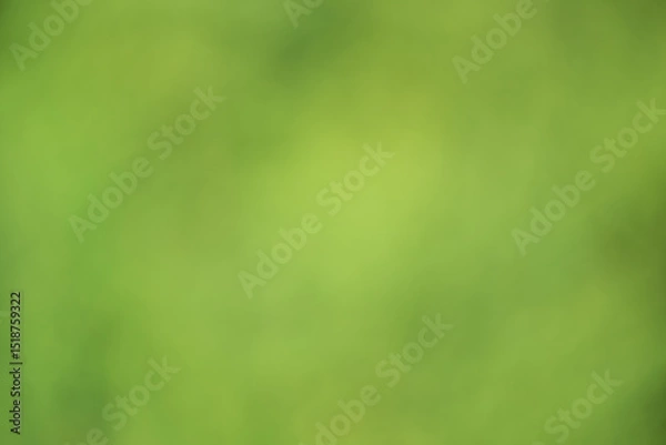 Fototapeta Abstract defocused background, greenery. Blurred bokeh of light and dark green color.
