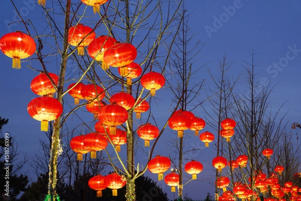 Obraz Chinese festive lantern at night