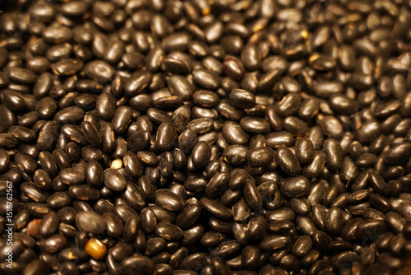Obraz Close-up of black bean