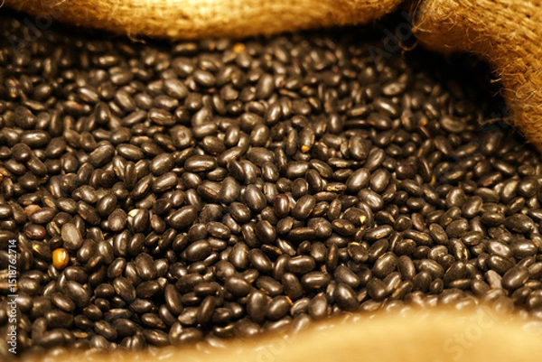 Obraz Close-up of black bean