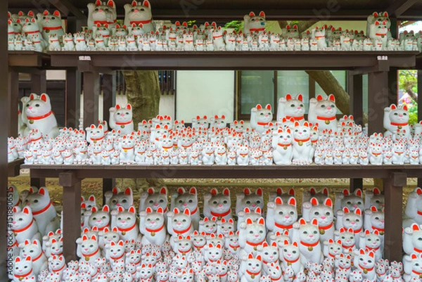 Fototapeta Tokyo, Japan - Sep 30 2024, A close-up view of many multi-sized white beckoning cat figure of Maneki neko with red ears and noses displayed at Gotokuji Temple, without people, at daytime, Tokyo, Japan
