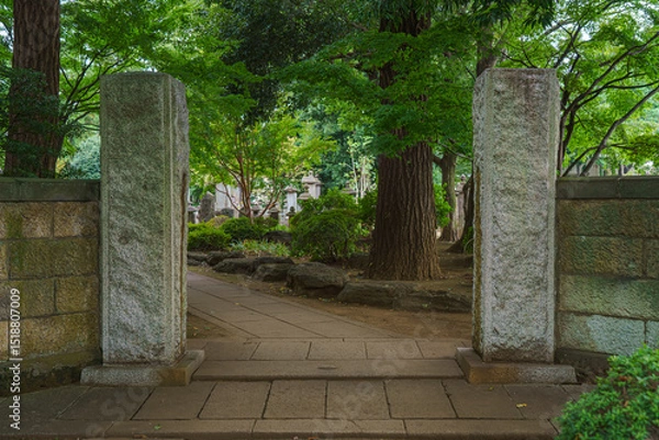 Fototapeta Tokyo, Japan - Sep 30 2024, Panoramic view of the cemetery on the grounds of Gotokuji Temple, without people, in cloudy weather, at daytime, Tokyo, Japan