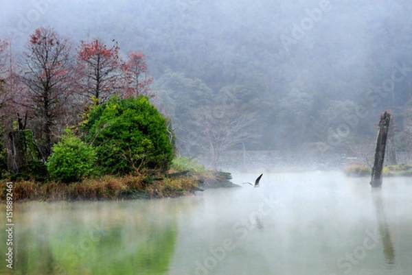 Obraz A bird soars over a misty lake at Mingchi National Forest Recreation Area, Taiwan, surrounded by lush trees and calm water.