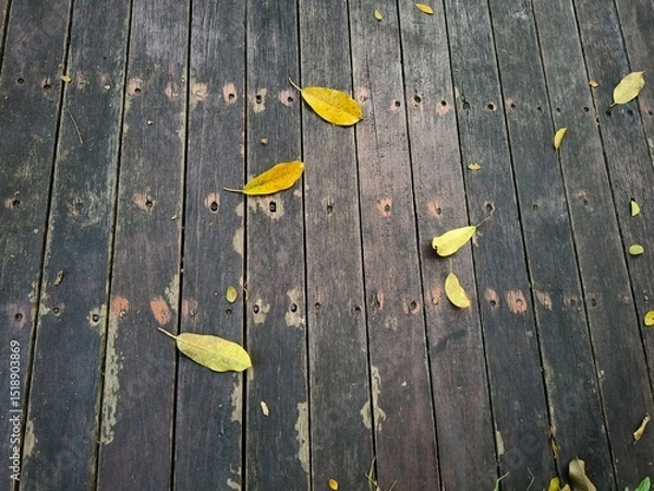 Fototapeta leaves fall on wooden floor, Wooden textured surface with natural leaves background