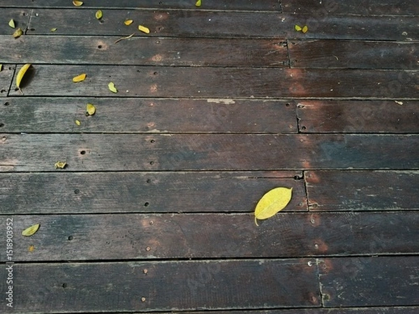 Fototapeta leaves fall on wooden floor, Wooden textured surface with natural leaves background