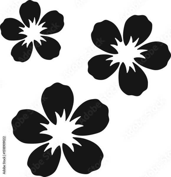 Obraz Tropical Flowers