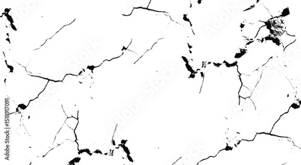 Obraz Grunge abstract background. Distressed vector overlay. The cracks texture of dry earth.  stock illustration