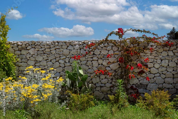 Fototapeta Angolo con piante e fiori 