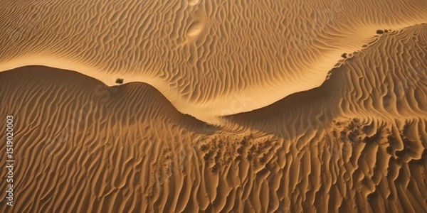 Obraz Sand dune patterns captured from aerial view creating abstract golden wave texture.