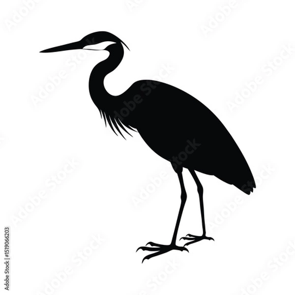 Obraz Heron silhouette vector illustration 