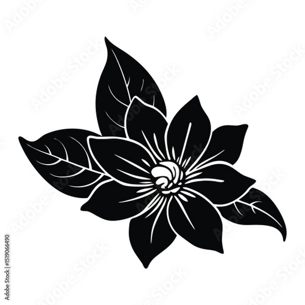 Obraz Jasmine silhouette vector illustration 