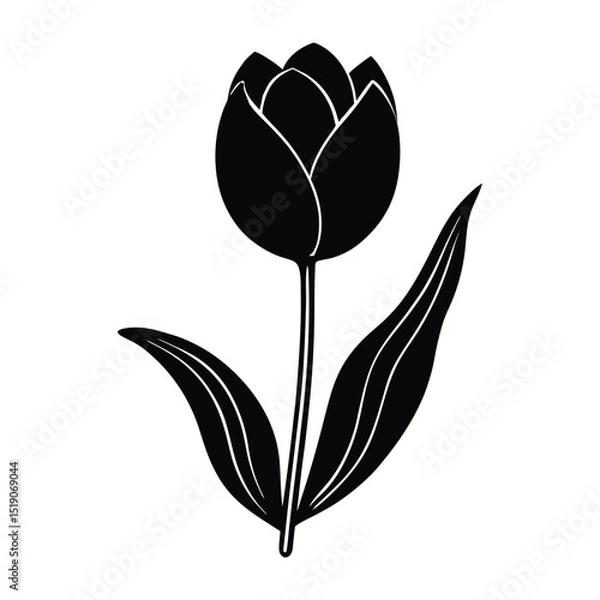 Obraz Tulip silhouette vector illustration 