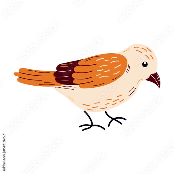Fototapeta 
Spring  birds  single element. Spring singing birds. Vector birds for postcards and t-shirts.
