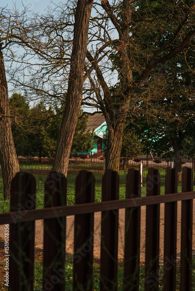 Obraz old wooden bridge