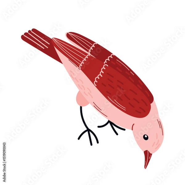 Fototapeta 
Spring  birds  single element. Spring singing birds. Vector birds for postcards and t-shirts.
