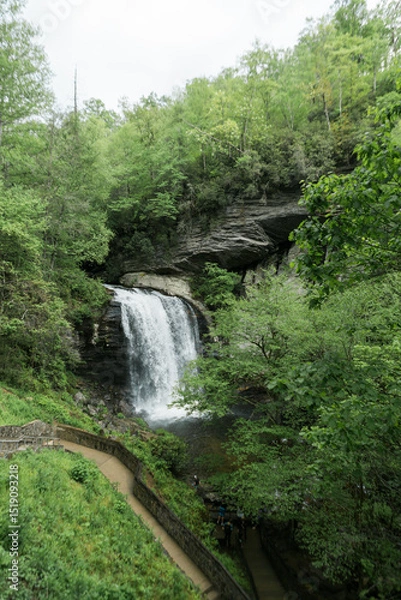 Fototapeta Looking Glass Falls and rocky pool surrounded by vibrant trees