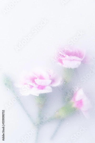 Fototapeta Bright beautiful bouquet of purple flowers arrangement behind a white matte glass blurry with water drops,soft focus,DOF- depth of field