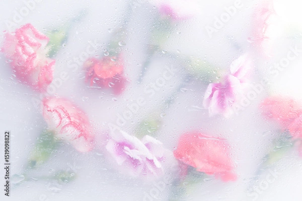 Fototapeta Bright beautiful bouquet of purple white and red flowers arrangement behind a white matte glass blurry with water drops,soft focus,DOF- depth of field