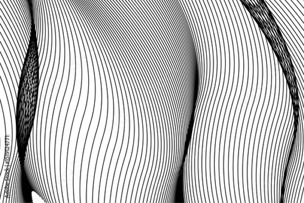 Fototapeta black and white background . liner pattern texture 