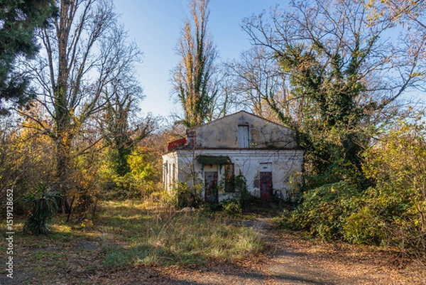 Fototapeta An abandoned house in the woods. An old abandoned stone house in the woods in the countryside.