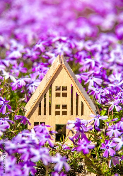 Fototapeta The symbol of the house on the background of purple flowers
