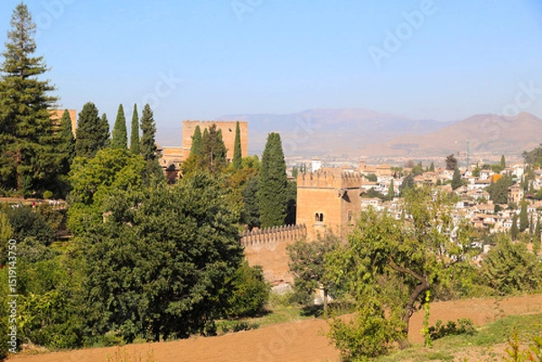 Obraz View of the Alhambra in the Spanish city Granada, Andalusia, Spain    