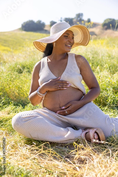 Obraz A beautiful pregnant woman enjoying a delightful sunny day outdoors, completely surrounded by nature, and embodying pure joy and serenity throughout her pregnancy journey and experience