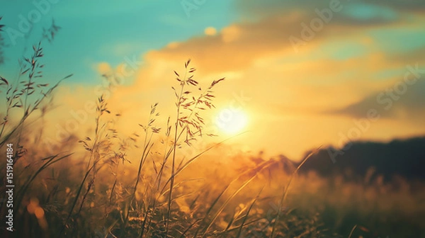 Fototapeta This picture shows a golden meadow bathed in the warm glow of the setting sun, with grass swaying gently in the breeze, creating a peaceful and serene atmosphere.