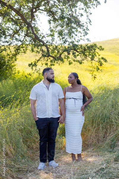 Obraz On a bright, sunny summer day, an African American couple joyfully celebrates their beautiful journey into parenthood, surrounded by lush greenery and the stunning beauty of nature all around them