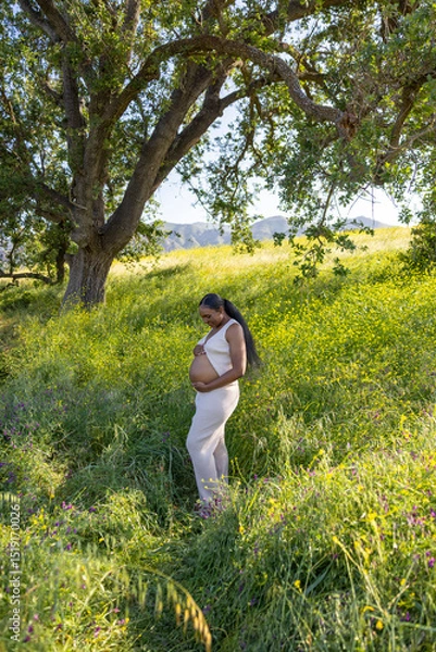 Obraz A serene scene shows a beautiful pregnant woman relaxing outdoors in warm sunlight, surrounded by lush greenery under a majestic tree, embodying joy and anticipation while connecting with nature