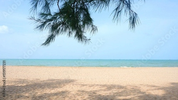 Fototapeta Sky, sea, sandy beach and shadows of pine trees in summer.