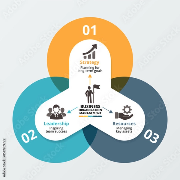 Obraz Business organization management infographic template