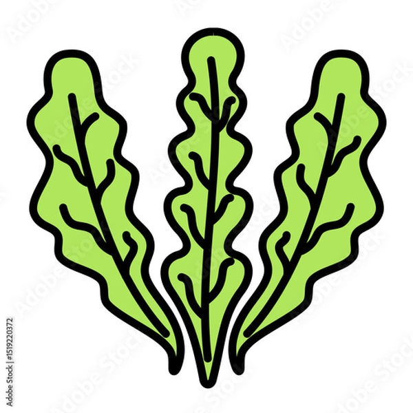 Fototapeta kale icon	