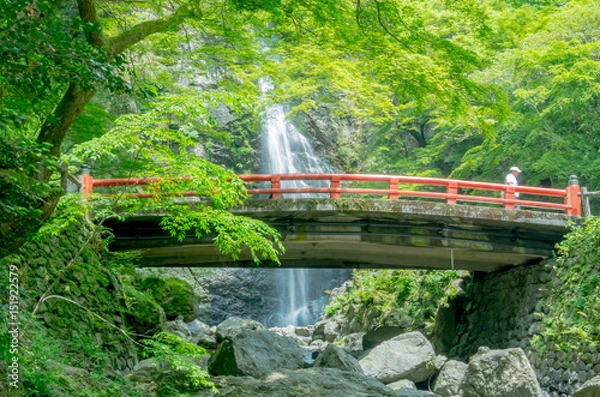 Obraz 初夏・新緑の滝