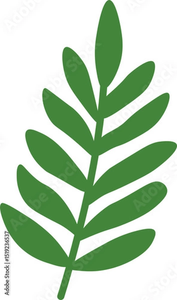 Obraz Tropical Leaf Vector Illustration - Flat Green Botanical Elements
