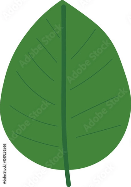 Obraz Tropical Leaf Vector Illustration - Flat Green Botanical Elements
