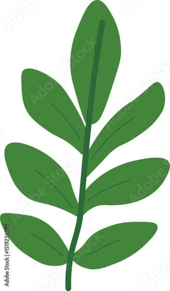 Obraz Tropical Leaf Vector Illustration - Flat Green Botanical Elements