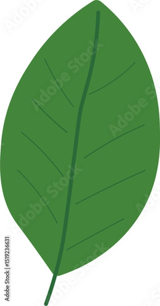 Obraz Tropical Leaf Vector Illustration - Flat Green Botanical Elements
