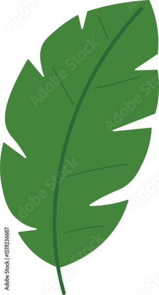 Obraz Tropical Leaf Vector Illustration - Flat Green Botanical Elements