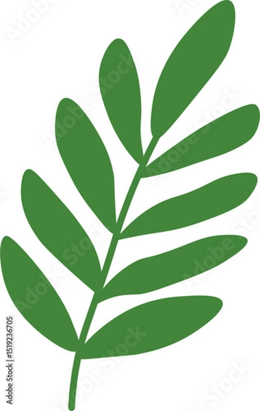 Obraz Tropical Leaf Vector Illustration - Flat Green Botanical Elements