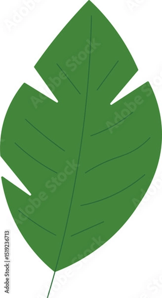Obraz Tropical Leaf Vector Illustration - Flat Green Botanical Elements