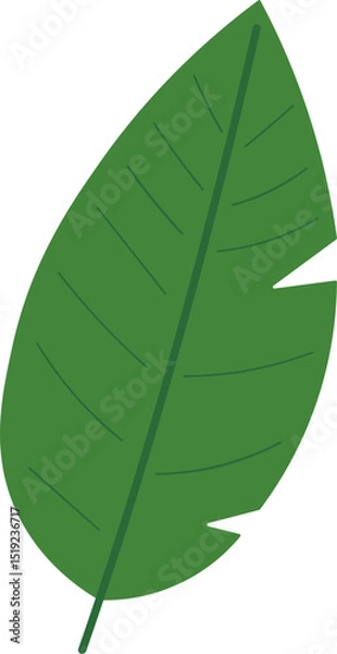Obraz Tropical Leaf Vector Illustration - Flat Green Botanical Elements