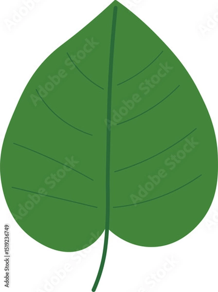 Obraz Tropical Leaf Vector Illustration - Flat Green Botanical Elements