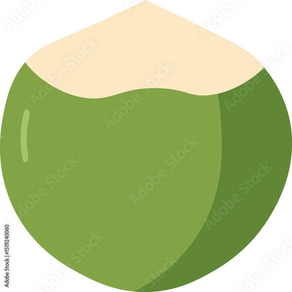 Obraz Tropical Coconut Drink Vectors - Green Coconuts Flat Design