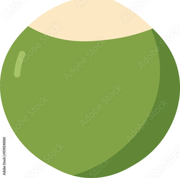 Obraz Tropical Coconut Drink Vectors - Green Coconuts Flat Design
