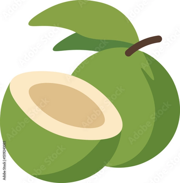 Obraz Tropical Coconut Drink Vectors - Green Coconuts Flat Design