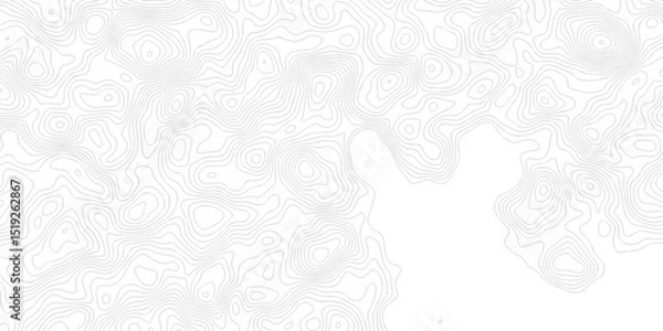Obraz Seamless pattern with lines White wave paper curved reliefs abstract background, Abstract topographic contours map background. Abstract black and white topographic contours line.