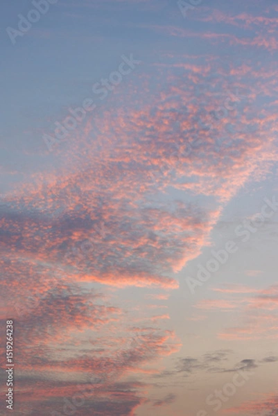 Obraz Sunset sky and evening glow