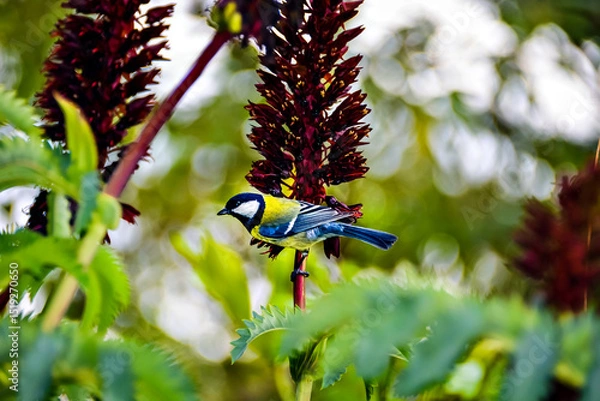 Obraz Colorful little bird flying through the garden. Nature